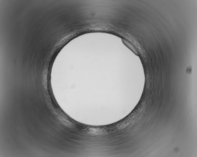 X0000116270442201001111018