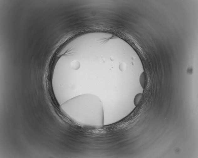 X0000116270443201001111018