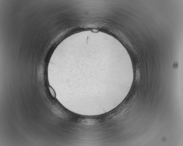 X0000116270444201001111018