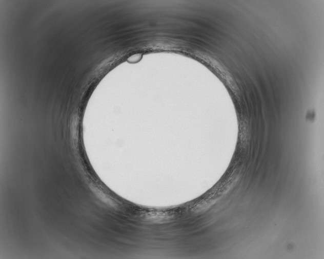 X0000116270445201001111018