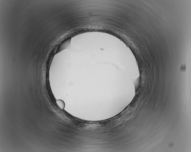 X0000116270446201001111018