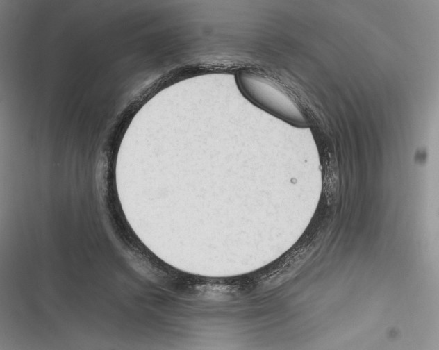 X0000116270448201001111018