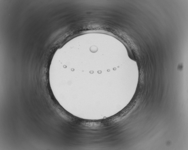 X0000116270449201001111018