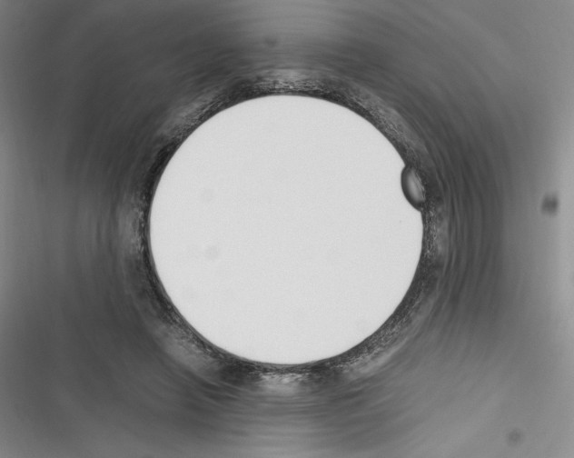X0000116270450201001111018