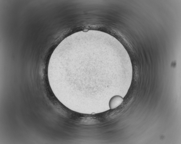 X0000116270451201001111018