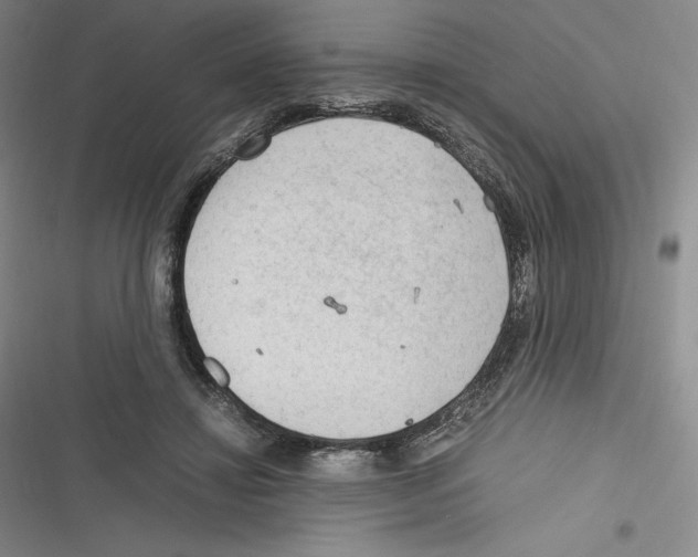 X0000116270452201001111018