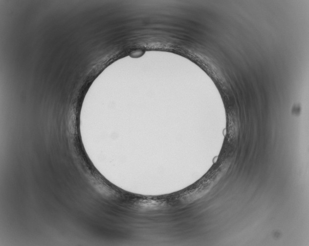 X0000116270453201001111018