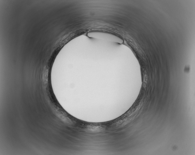 X0000116270454201001111018