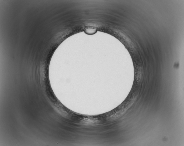 X0000116270455201001111018
