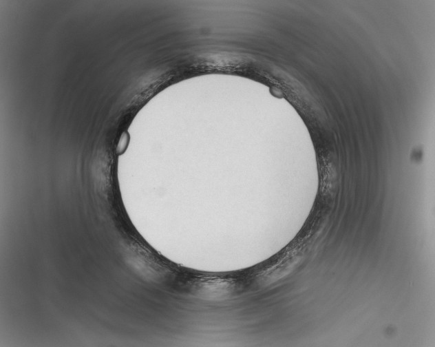 X0000116270456201001111018