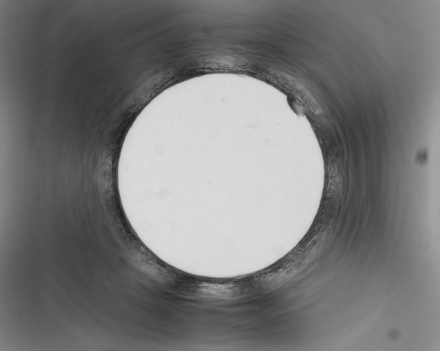 X0000116270457201001111018