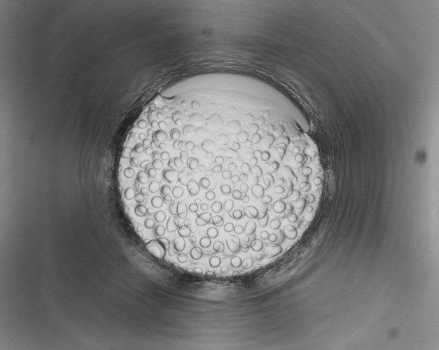 X0000116270458201001111018