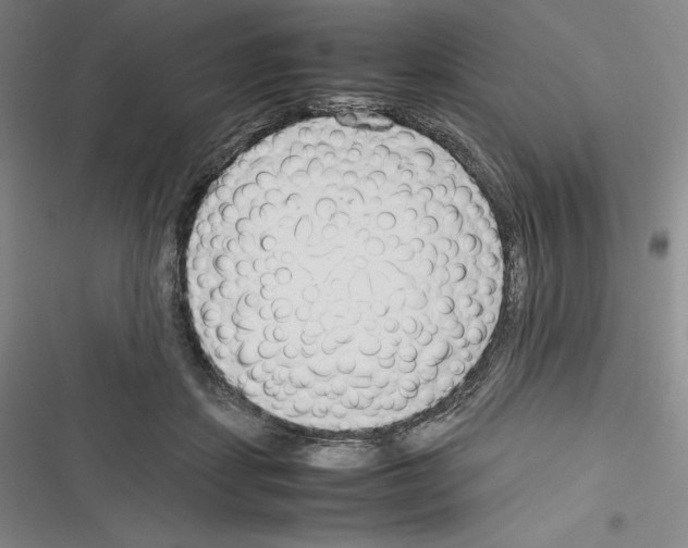 X0000116270459201001111018