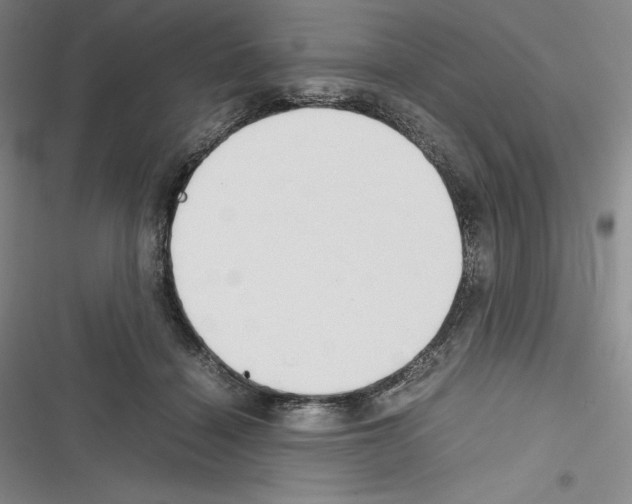 X0000116270460201001111018