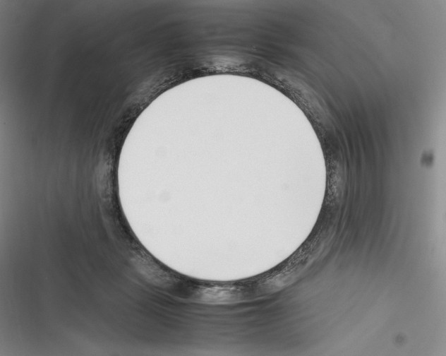 X0000116270461201001111018