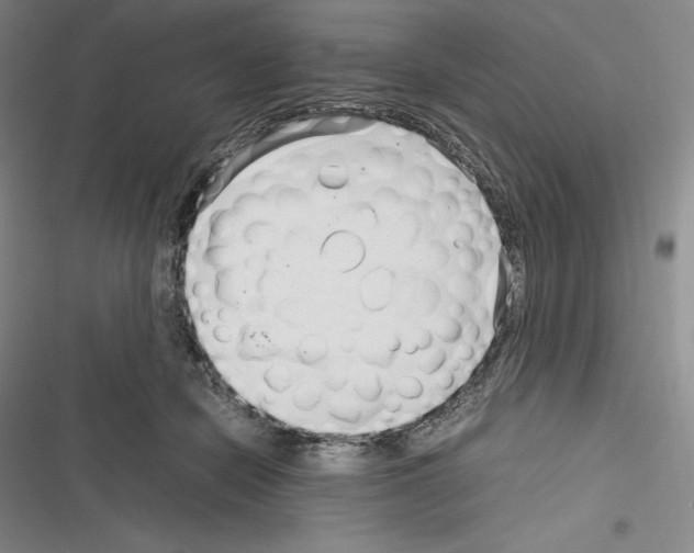 X0000116270462201001111018