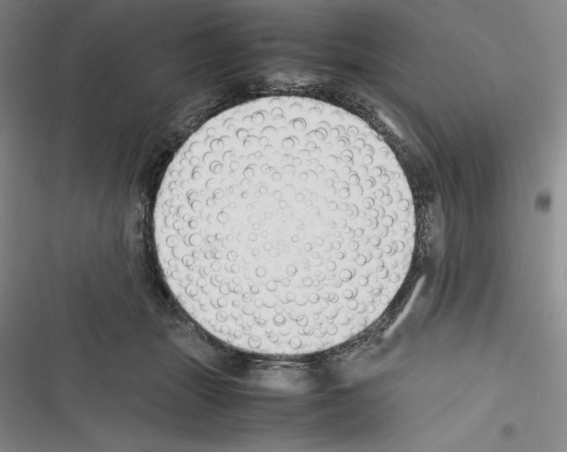 X0000116270463201001111018