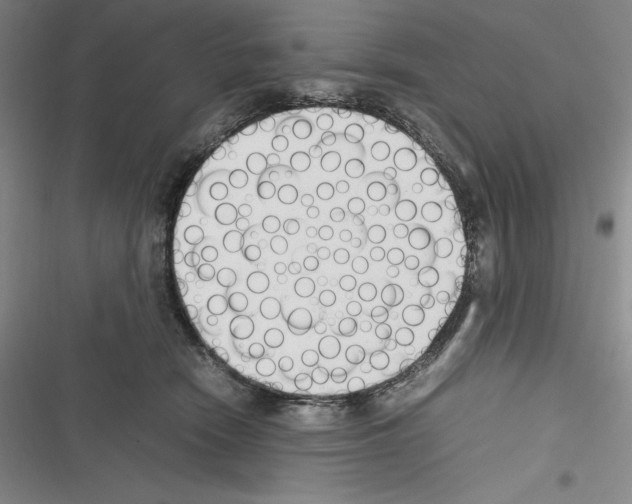X0000116270466201001111018