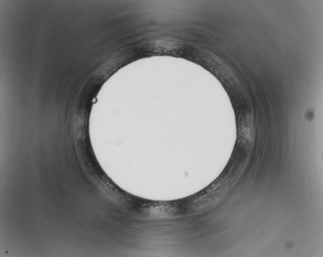 X0000116270468201001111018