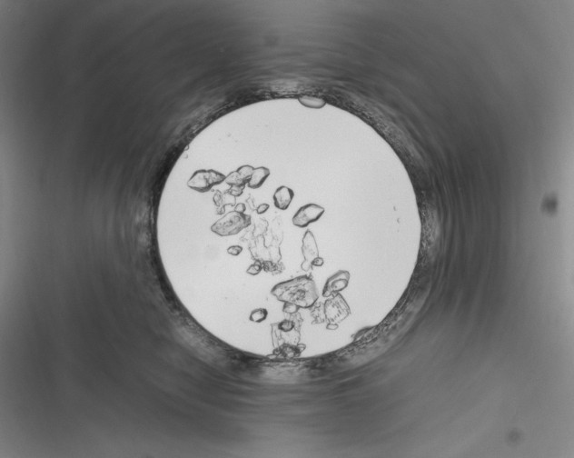 X0000116270470201001111018