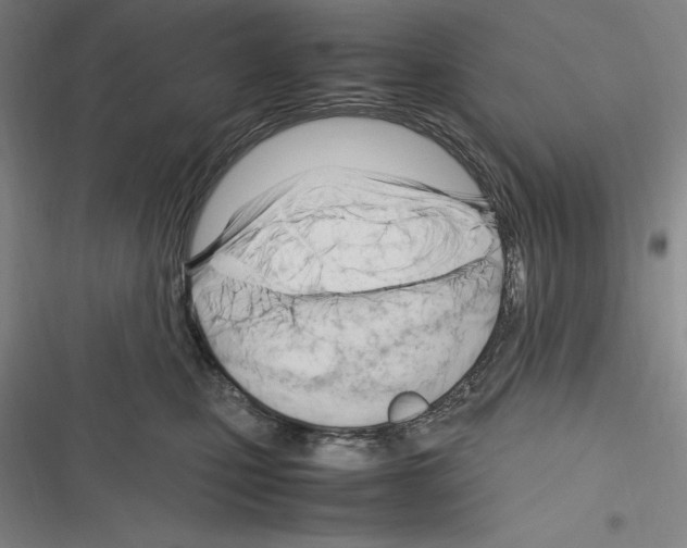 X0000116270471201001111018