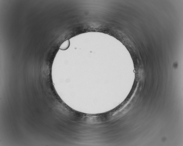 X0000116270472201001111018
