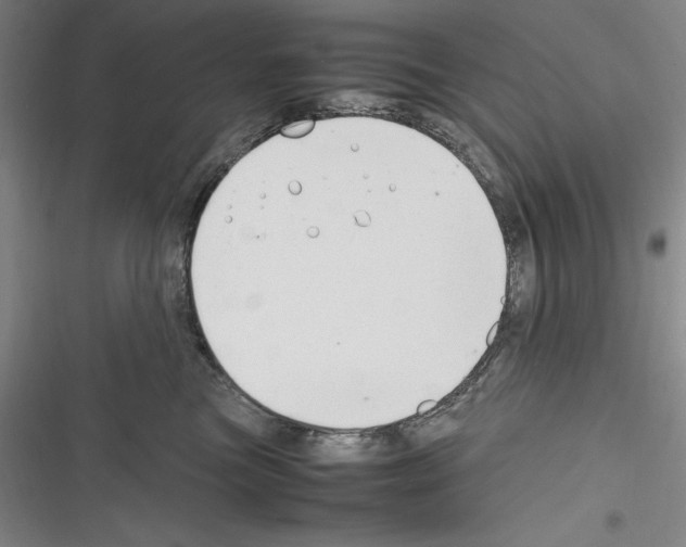 X0000116270473201001111018