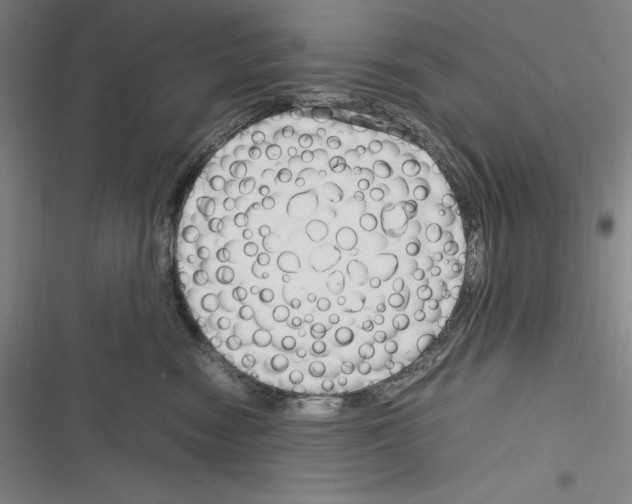X0000116270474201001111018