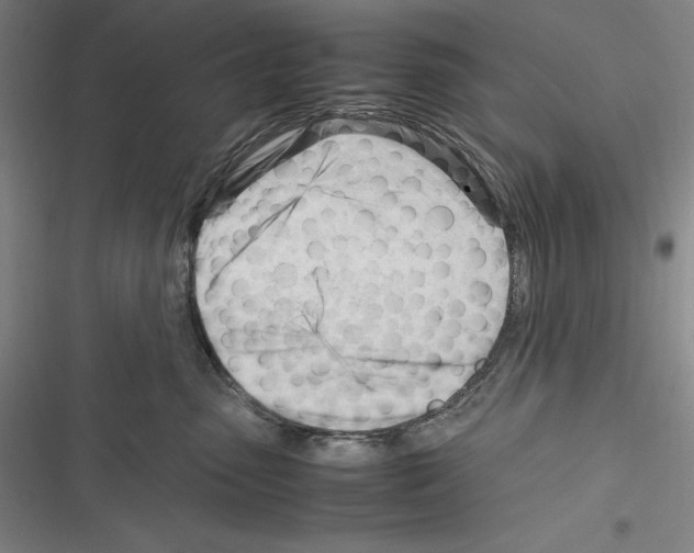 X0000116270475201001111018