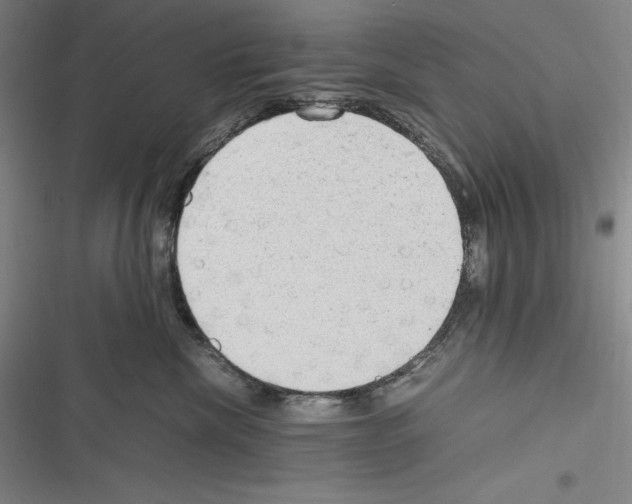 X0000116270476201001111018
