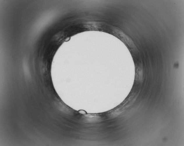 X0000116270477201001111018