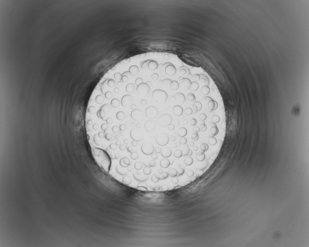 X0000116270478201001111018