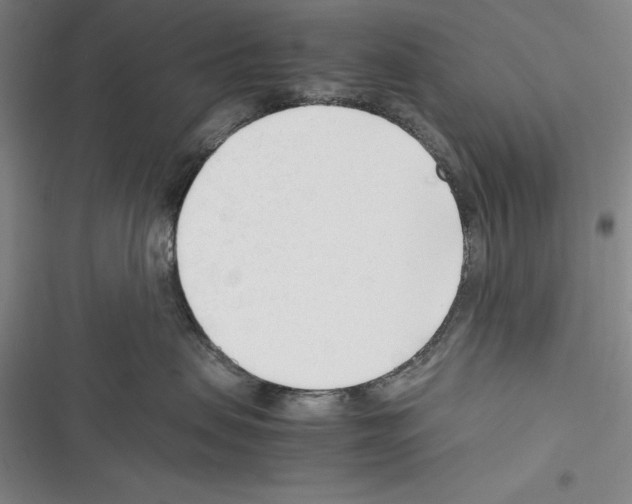 X0000116270479201001111018