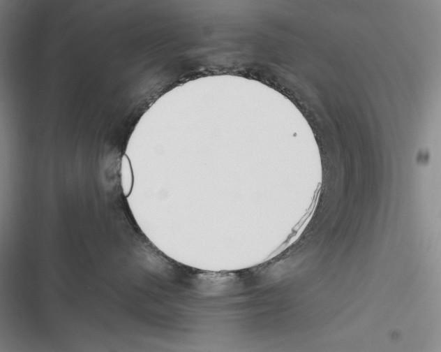 X0000116270480201001111018
