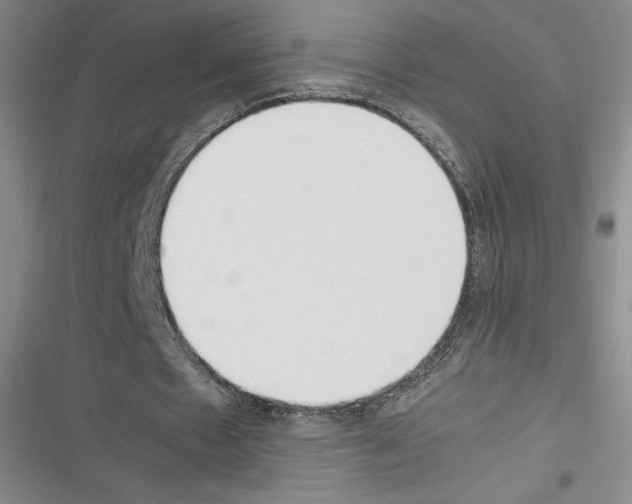 X0000116270481201001111017