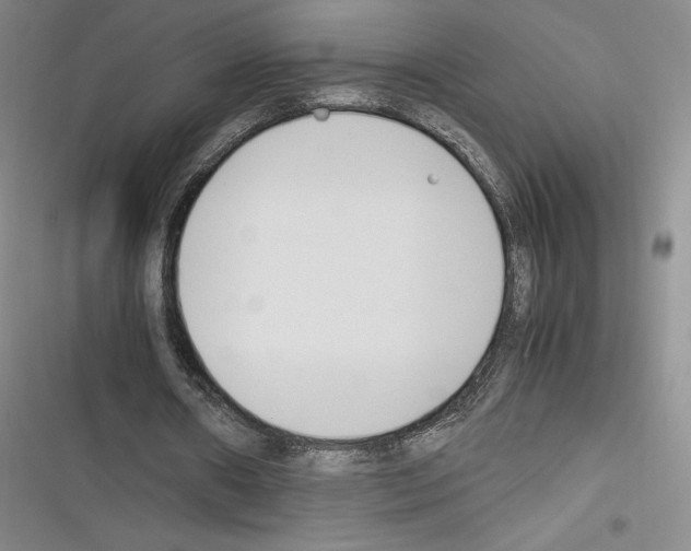 X0000116270482201001111017