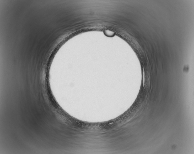 X0000116270483201001111017