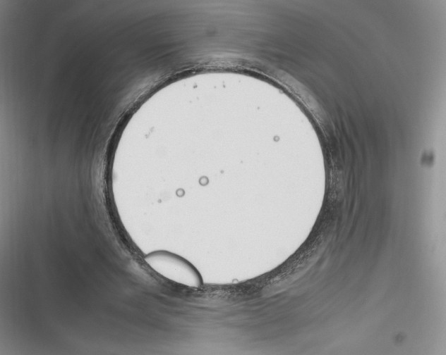 X0000116270485201001111017