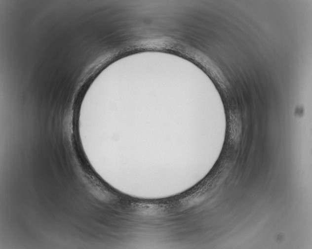 X0000116270486201001111017