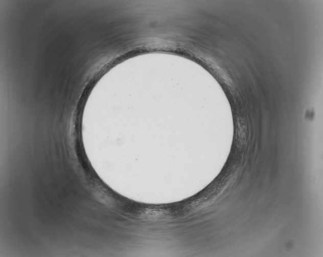 X0000116270487201001111017