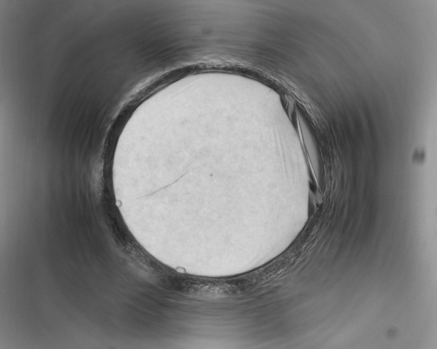 X0000116270488201001111017