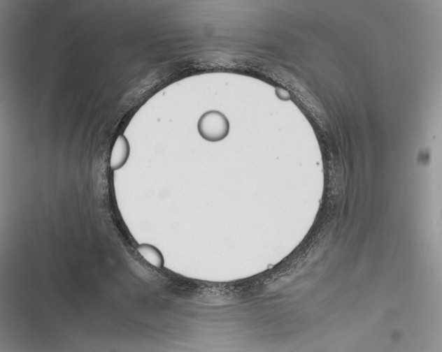 X0000116270489201001111017