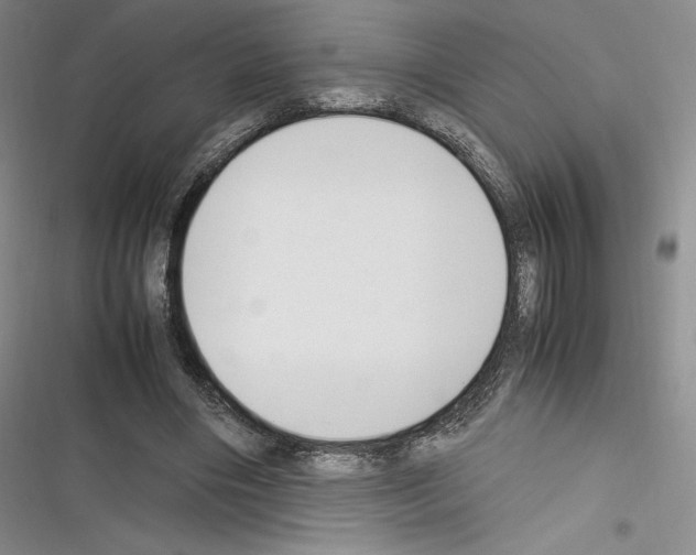 X0000116270490201001111017