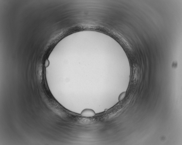 X0000116270494201001111017
