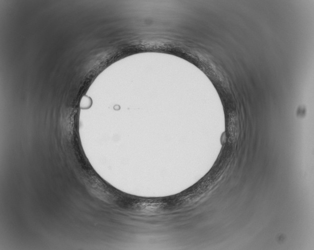 X0000116270495201001111017