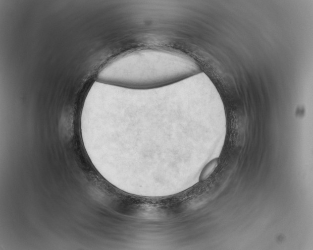 X0000116270496201001111017