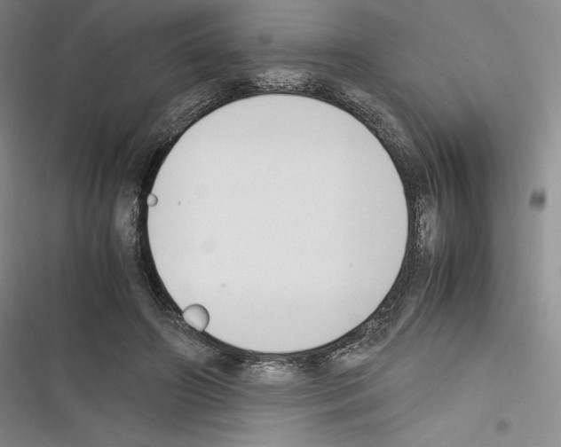 X0000116270498201001111017