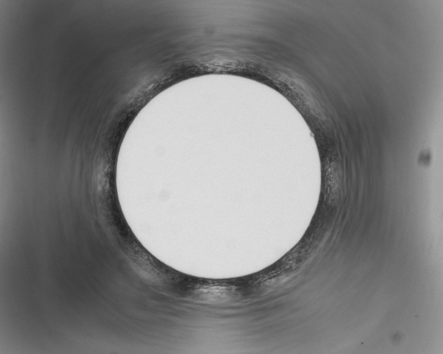 X0000116270499201001111017
