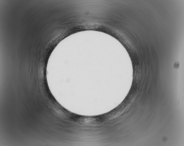 X0000116270501201001111017