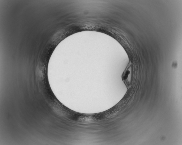 X0000116270503201001111017